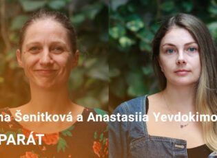 Ukrajinští žáci v&nbsp;Česku se potýkají s&nbsp;jazykem i&nbsp;systémem