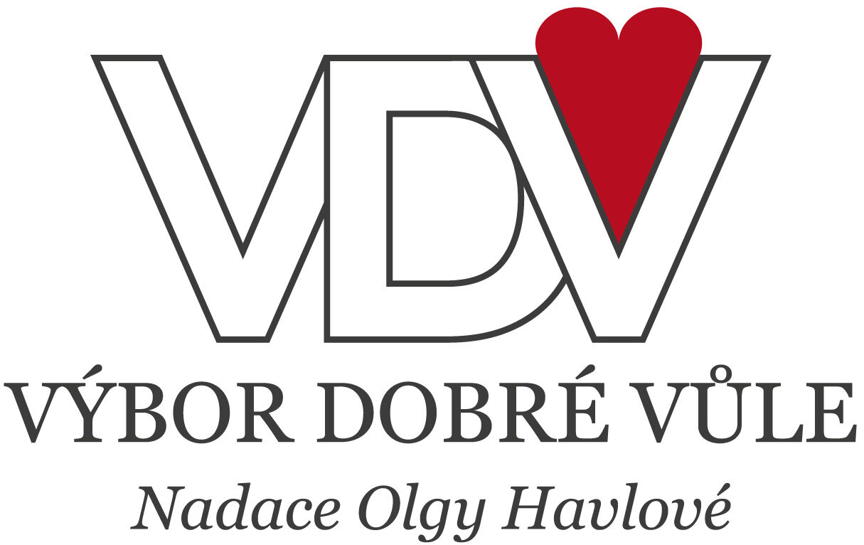 3. VDV-logo